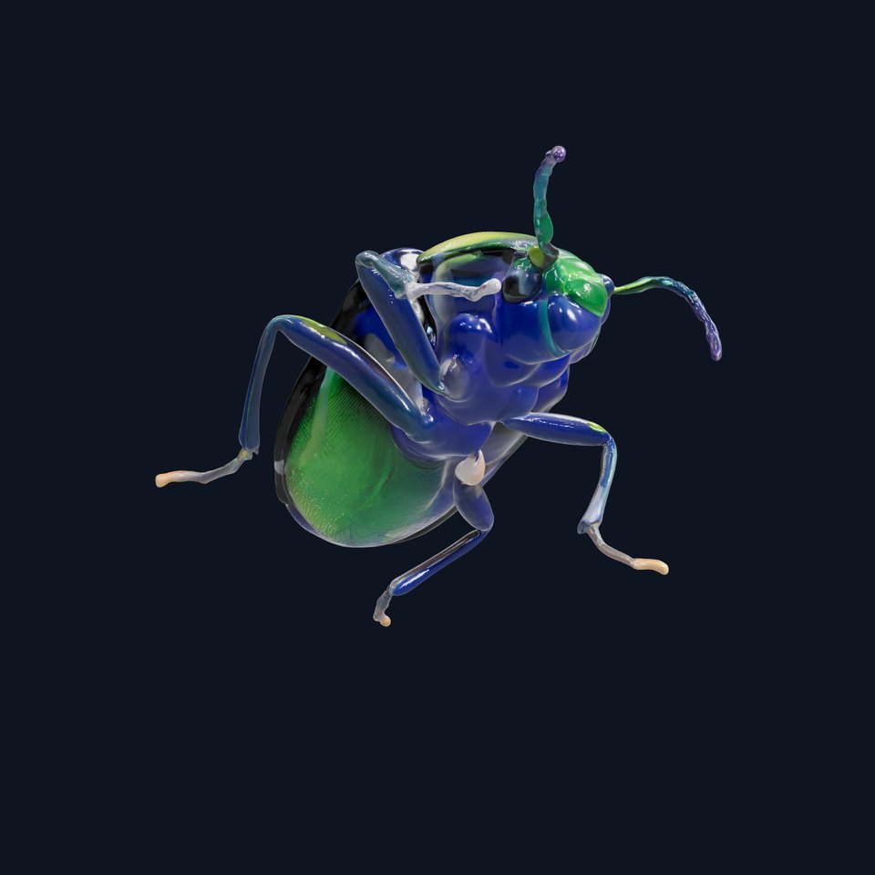 Iridescent Beetle Model Pack